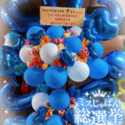 ヒメ日記 2025/08/09 09:00 投稿 すい やんちゃな子猫日本橋本店