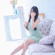 ヒメ日記 2025/08/09 12:00 投稿 すい やんちゃな子猫日本橋本店