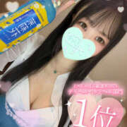 ヒメ日記 2025/08/10 06:00 投稿 すい やんちゃな子猫日本橋本店