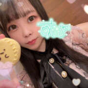 ヒメ日記 2025/08/11 01:16 投稿 すい やんちゃな子猫日本橋本店