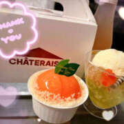 ヒメ日記 2025/08/11 03:30 投稿 すい やんちゃな子猫日本橋本店