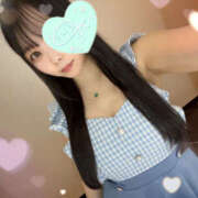 ヒメ日記 2025/08/13 11:00 投稿 すい やんちゃな子猫日本橋本店