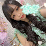 ヒメ日記 2025/08/15 07:00 投稿 すい やんちゃな子猫日本橋本店