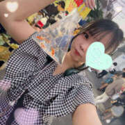 ヒメ日記 2025/08/15 10:00 投稿 すい やんちゃな子猫日本橋本店