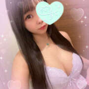 ヒメ日記 2025/08/16 07:00 投稿 すい やんちゃな子猫日本橋本店