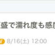 ヒメ日記 2025/08/17 04:18 投稿 すい やんちゃな子猫日本橋本店