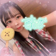 ヒメ日記 2025/08/17 09:00 投稿 すい やんちゃな子猫日本橋本店