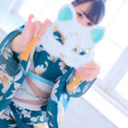 ヒメ日記 2025/08/17 12:00 投稿 すい やんちゃな子猫日本橋本店