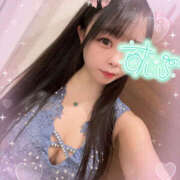 ヒメ日記 2025/08/17 23:45 投稿 すい やんちゃな子猫日本橋本店