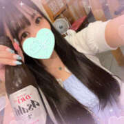 ヒメ日記 2025/08/23 05:21 投稿 すい やんちゃな子猫日本橋本店