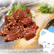 ヒメ日記 2025/08/23 07:00 投稿 すい やんちゃな子猫日本橋本店