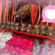 ヒメ日記 2025/09/05 00:09 投稿 すい やんちゃな子猫日本橋本店