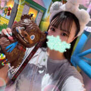 ヒメ日記 2025/09/05 00:18 投稿 すい やんちゃな子猫日本橋本店