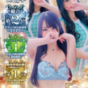 ヒメ日記 2025/09/05 01:34 投稿 すい やんちゃな子猫日本橋本店