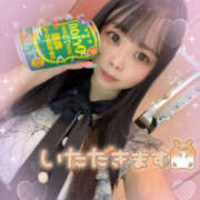 ヒメ日記 2025/09/05 02:34 投稿 すい やんちゃな子猫日本橋本店