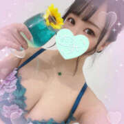 ヒメ日記 2025/09/05 04:11 投稿 すい やんちゃな子猫日本橋本店