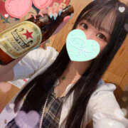 ヒメ日記 2025/09/06 06:00 投稿 すい やんちゃな子猫日本橋本店