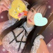 ヒメ日記 2025/09/13 05:53 投稿 すい やんちゃな子猫日本橋本店