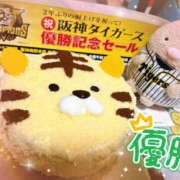 ヒメ日記 2025/09/13 22:55 投稿 すい やんちゃな子猫日本橋本店