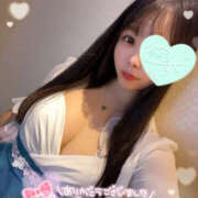 ヒメ日記 2025/09/18 08:31 投稿 すい やんちゃな子猫日本橋本店