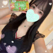 ヒメ日記 2025/09/19 06:28 投稿 すい やんちゃな子猫日本橋本店