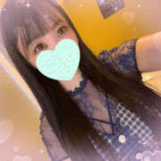 ヒメ日記 2025/09/20 07:47 投稿 すい やんちゃな子猫日本橋本店