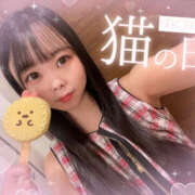 ヒメ日記 2025/09/23 04:45 投稿 すい やんちゃな子猫日本橋本店