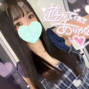 ヒメ日記 2025/09/26 06:38 投稿 すい やんちゃな子猫日本橋本店