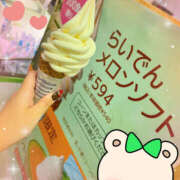 ヒメ日記 2025/09/28 04:19 投稿 すい やんちゃな子猫日本橋本店