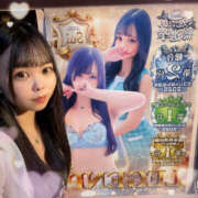 ヒメ日記 2025/10/02 07:00 投稿 すい やんちゃな子猫日本橋本店