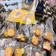 ヒメ日記 2025/10/06 02:04 投稿 すい やんちゃな子猫日本橋本店