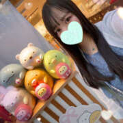 ヒメ日記 2025/10/19 04:30 投稿 すい やんちゃな子猫日本橋本店