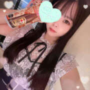 ヒメ日記 2025/10/20 03:13 投稿 すい やんちゃな子猫日本橋本店