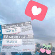 ヒメ日記 2025/10/20 03:23 投稿 すい やんちゃな子猫日本橋本店