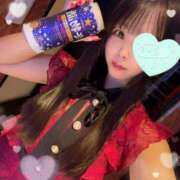 ヒメ日記 2025/10/27 06:00 投稿 すい やんちゃな子猫日本橋本店