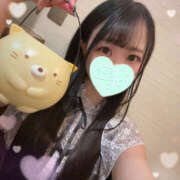 ヒメ日記 2025/11/09 15:23 投稿 すい やんちゃな子猫日本橋本店