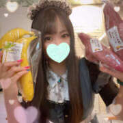 ヒメ日記 2025/11/16 05:10 投稿 すい やんちゃな子猫日本橋本店