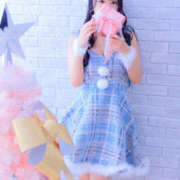 ヒメ日記 2025/12/07 09:00 投稿 すい やんちゃな子猫日本橋本店