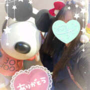 ヒメ日記 2025/12/08 09:00 投稿 すい やんちゃな子猫日本橋本店