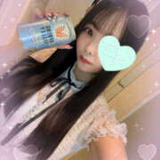 ヒメ日記 2025/12/15 06:00 投稿 すい やんちゃな子猫日本橋本店