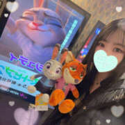 ヒメ日記 2025/12/17 02:13 投稿 すい やんちゃな子猫日本橋本店