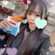 ヒメ日記 2025/12/19 06:00 投稿 すい やんちゃな子猫日本橋本店