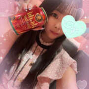 ヒメ日記 2025/12/29 02:24 投稿 すい やんちゃな子猫日本橋本店