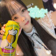 ヒメ日記 2026/01/15 23:45 投稿 すい やんちゃな子猫日本橋本店