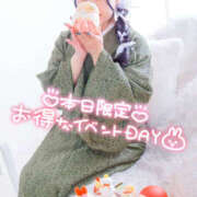 ヒメ日記 2026/01/16 00:29 投稿 すい やんちゃな子猫日本橋本店