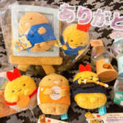 ヒメ日記 2026/01/17 02:45 投稿 すい やんちゃな子猫日本橋本店