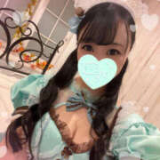 ヒメ日記 2026/01/17 06:00 投稿 すい やんちゃな子猫日本橋本店