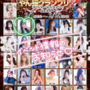 すい 2月だよ！！！！ やんちゃな子猫日本橋本店