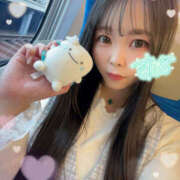 ヒメ日記 2026/03/15 02:59 投稿 すい やんちゃな子猫日本橋本店