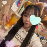 すい 4月も♡ やんちゃな子猫日本橋本店